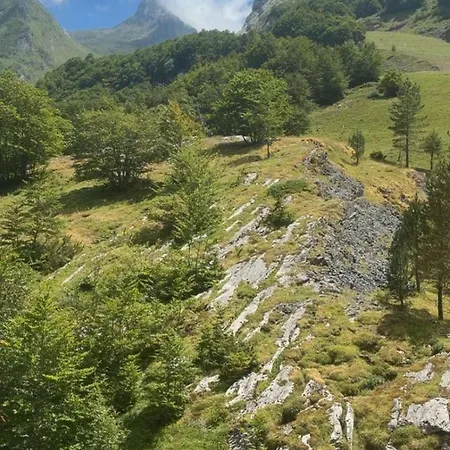 Appartamento Au Coeur De Gourette - 3 Pers. - Fr-1-400-145 Eaux-Bonnes